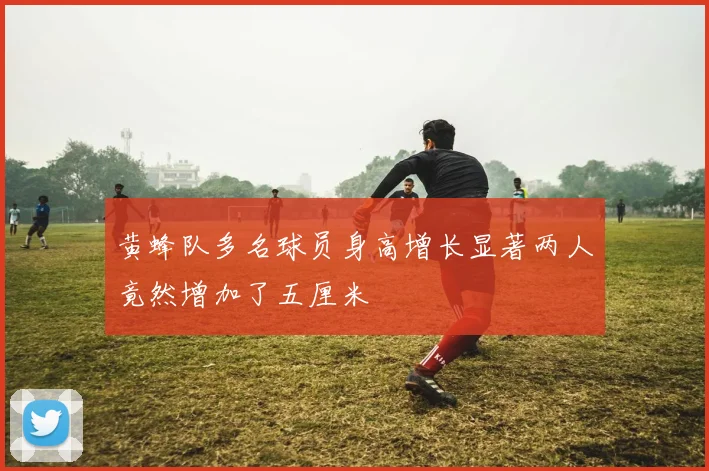 黄蜂队多名球员身高增长显著两人竟然增加了五厘米